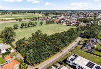 Landbouwgrond te koop Stabroek